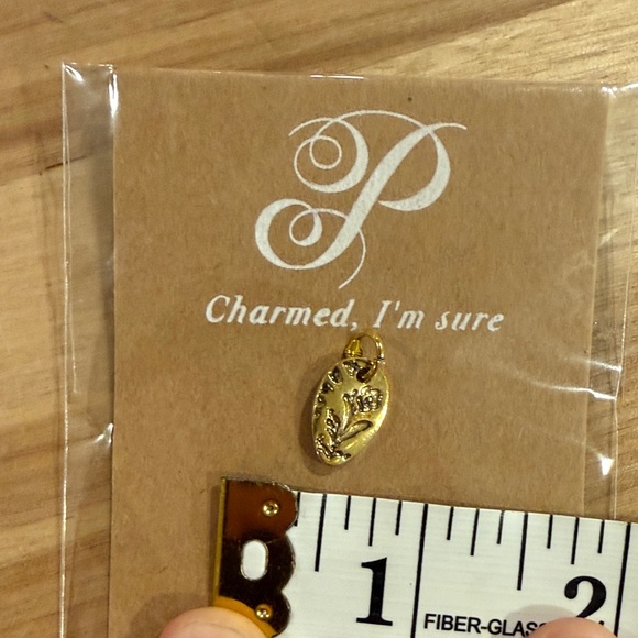 Plunder Gold Charm - Picture 3 of 3